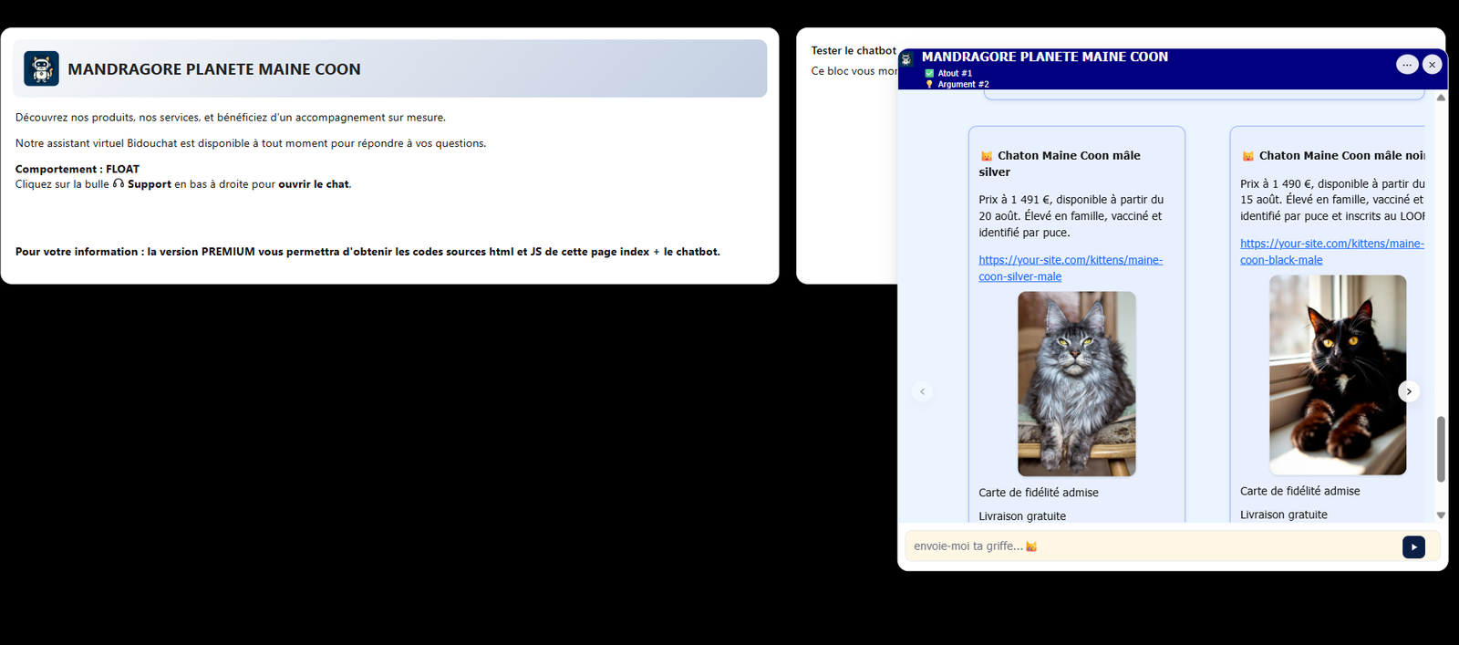 Preview AI Chatbot Bidouchat